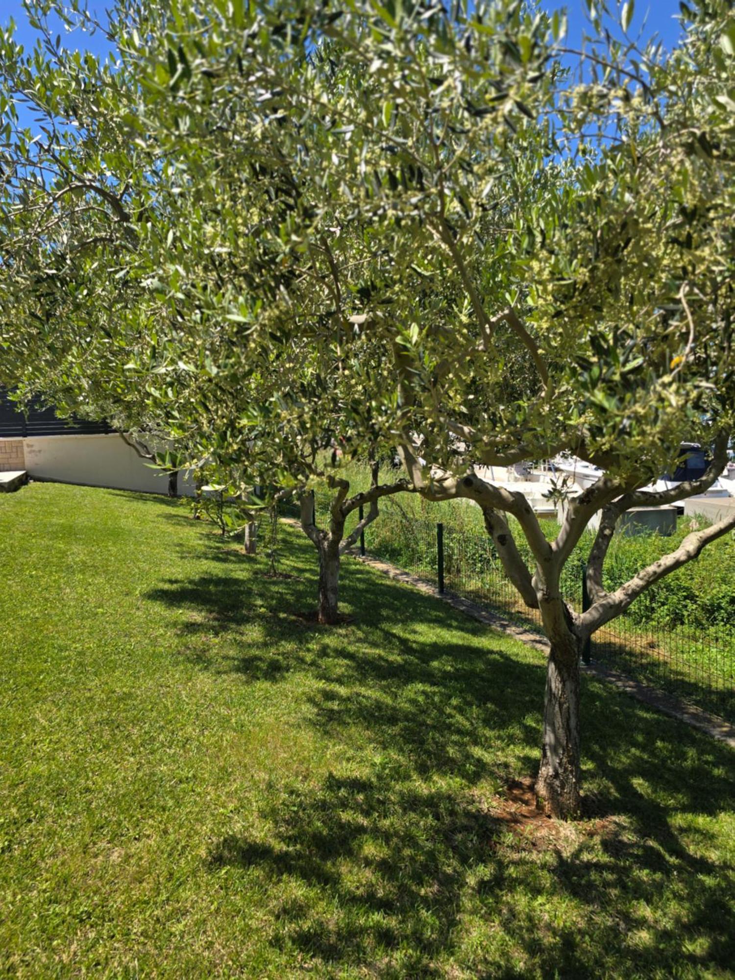 Olive Garden, Apartment With A Private Pool บานโจเล ภายนอก รูปภาพ